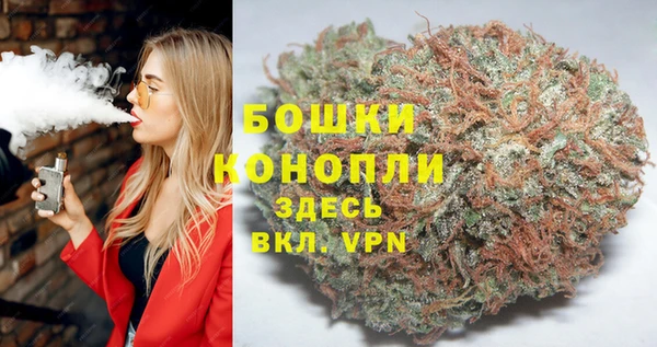 стаф Богородск