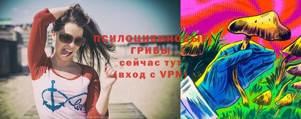трава Беломорск