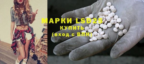 мдпв Богданович