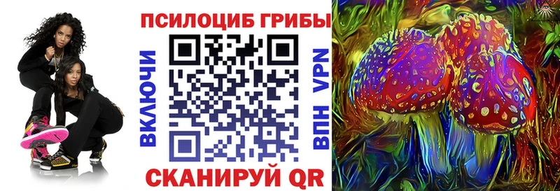 Псилоцибиновые грибы GOLDEN TEACHER Купить Тайшет